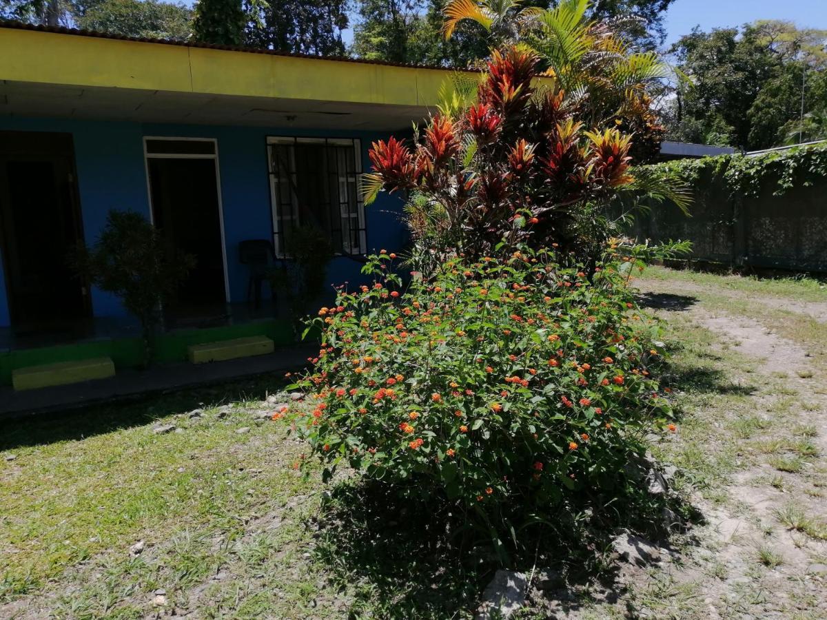 Magic Flower Rooms Cahuita Exterior photo